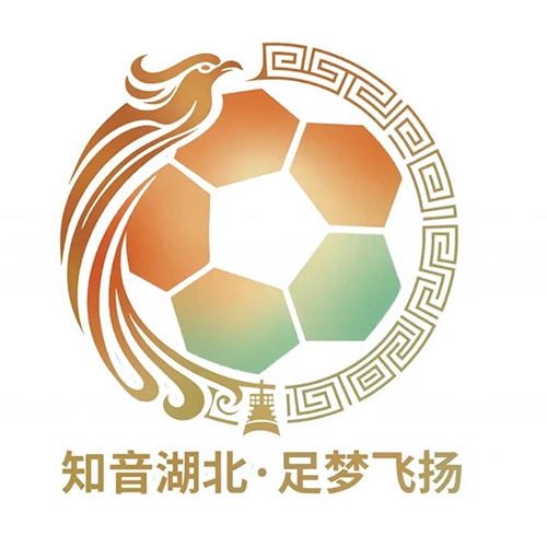 湖北省城市足球联赛 宜昌东阳光vs武汉华工科技20260425