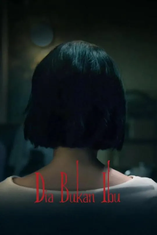 她不是我妈妈