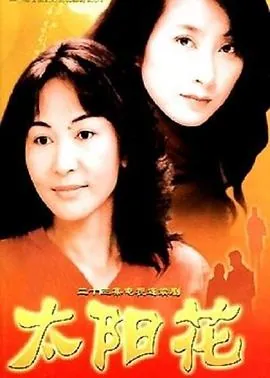 太阳花2004